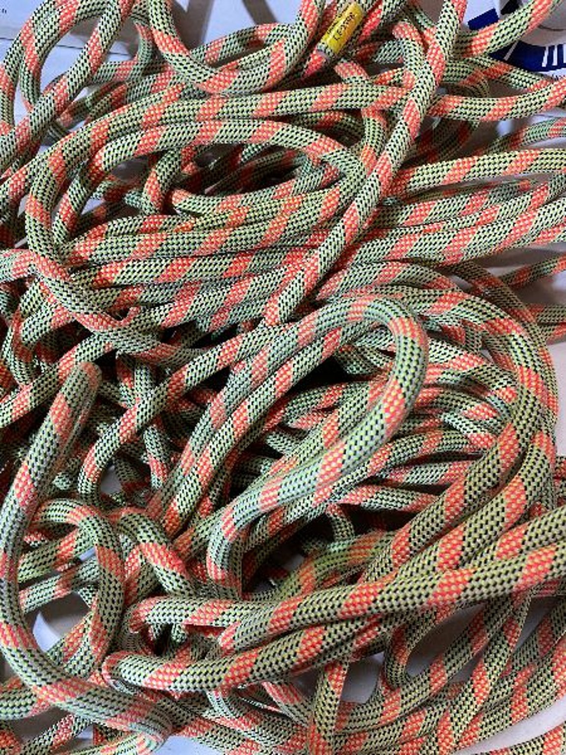 Green Orange Upcycled Climbing Rope Dog Leash