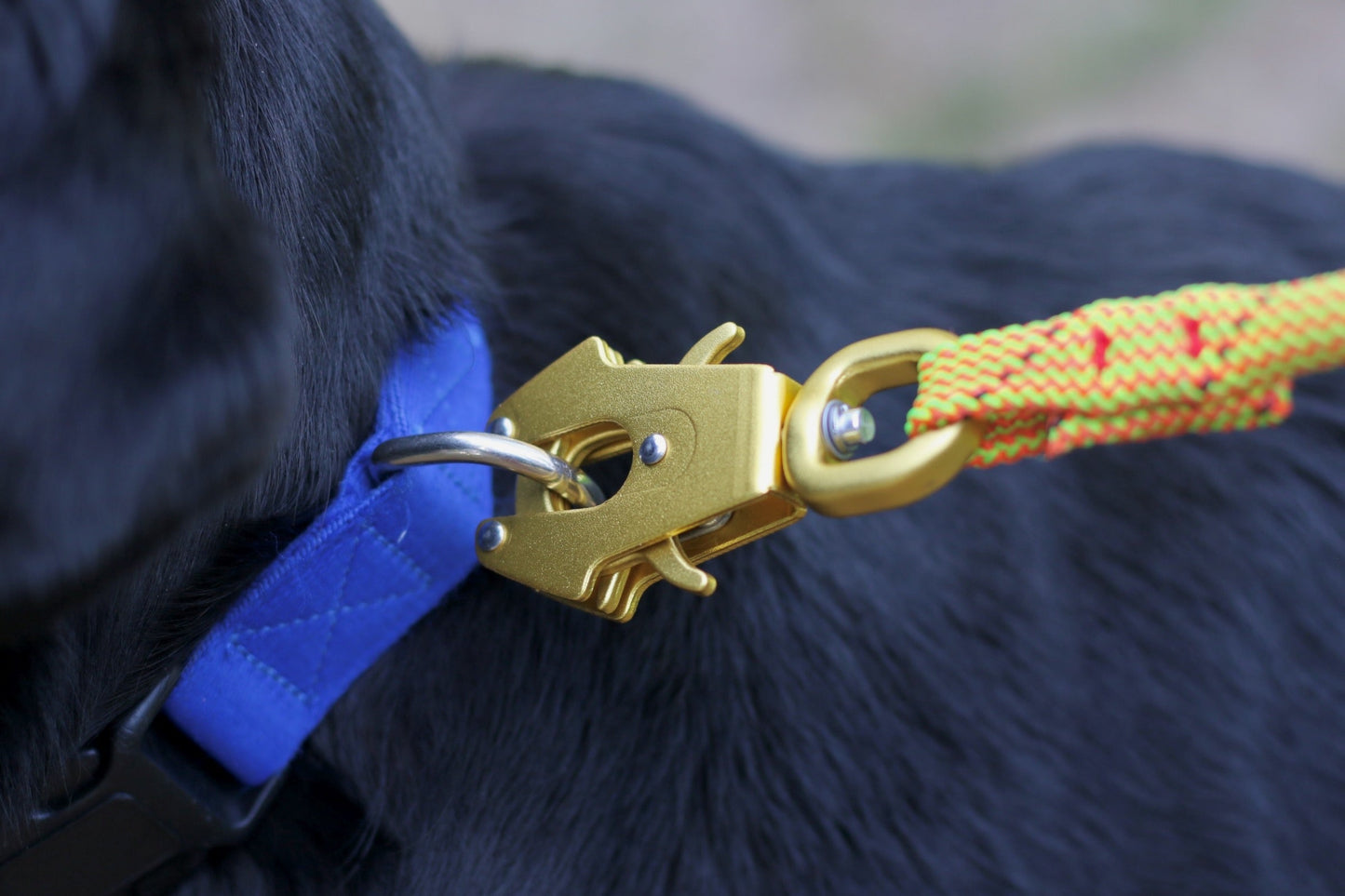 Frog Clip Knotty Paw Upcycled Climbing Rope Dog Leash