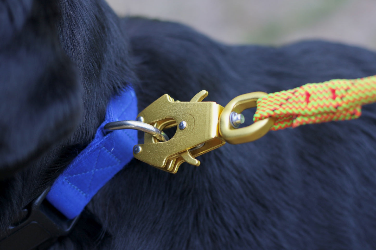 Yellow Frog Clip Knotty Paw Upcycled Climbing Rope Dog Leash