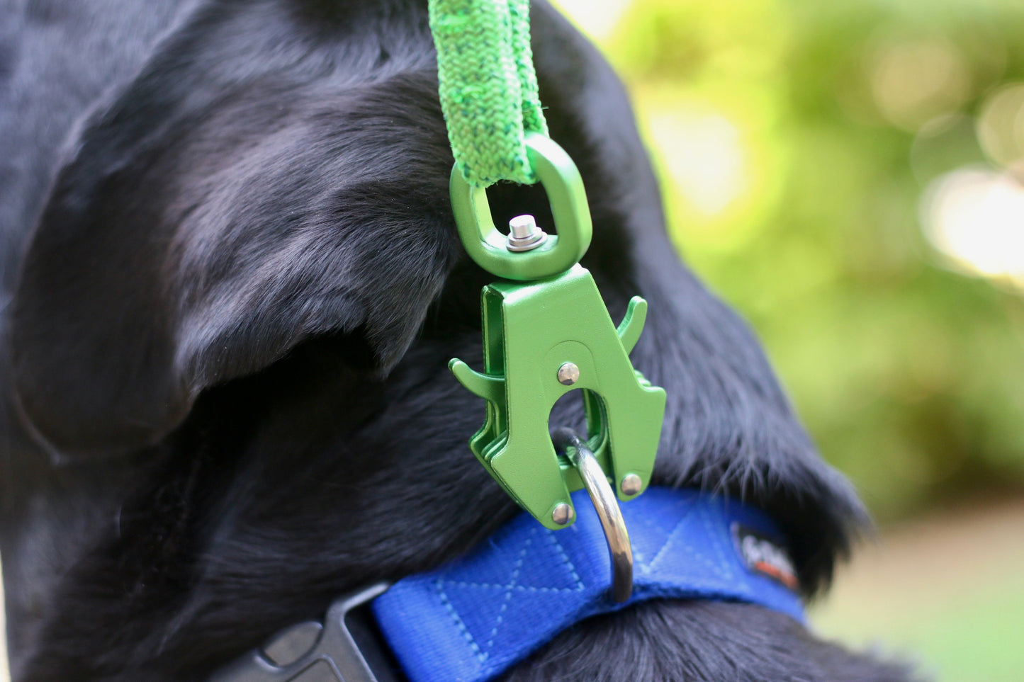 Green Frog Clip Knotty Paw Upcycled Climbing Rope Dog Leash