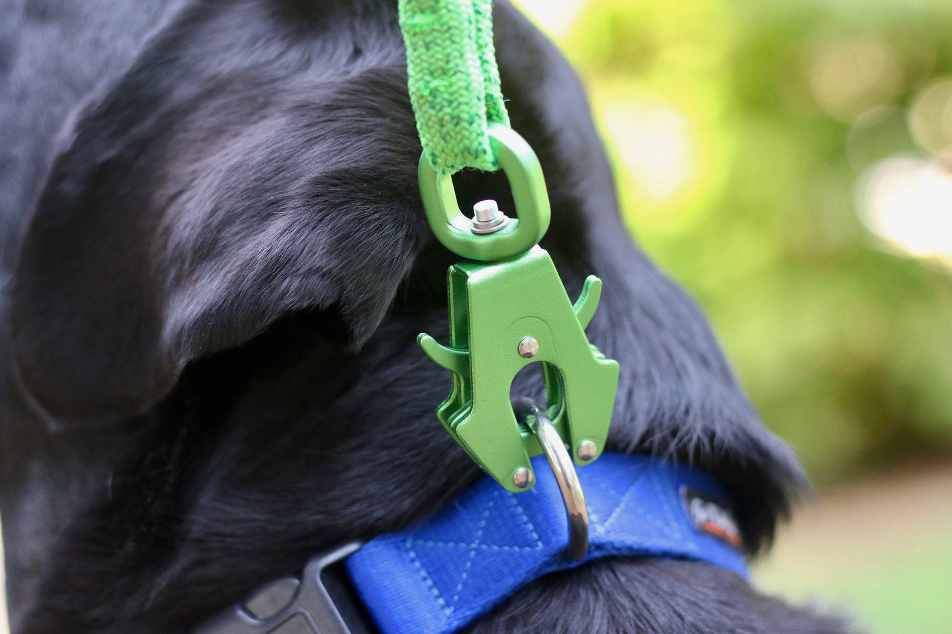 Green Frog Clip Knotty Paw Upcycled Climbing Rope Dog Leash