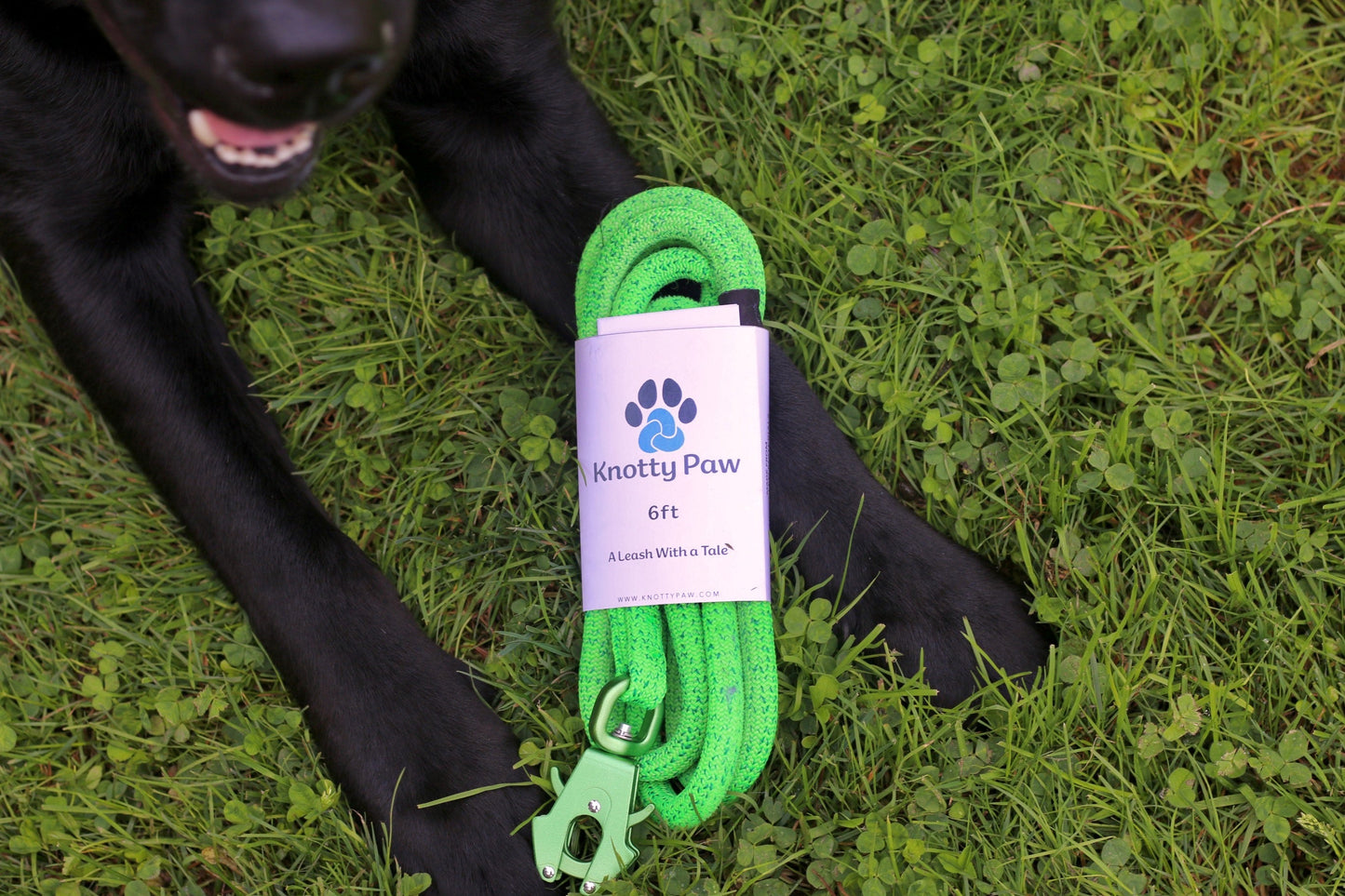 Green Knotty Paw Upcycled Climbing Rope Dog Leash