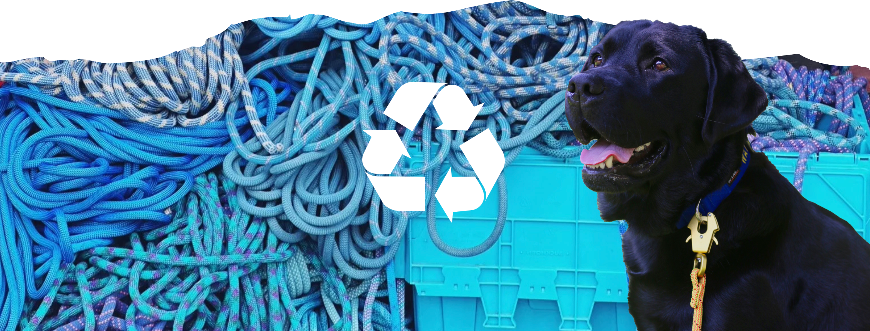 Knotty Paw Upcycled Climbing Rope Dog Leashes Lab Hero Eco- Friendly