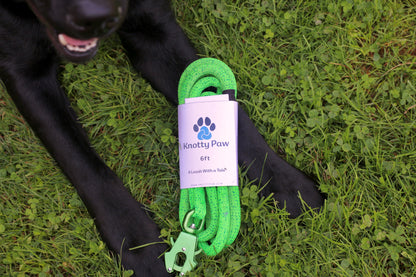 Bright Green Upcycled Leash